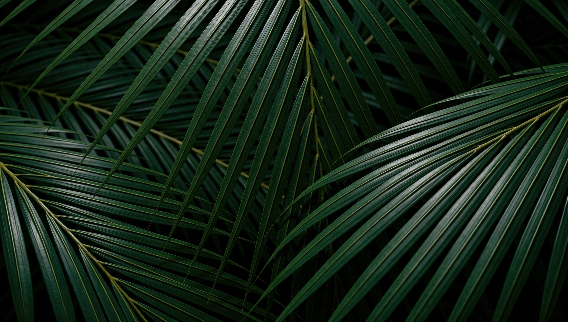 Struktur botani alami